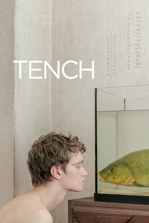 Image Tench