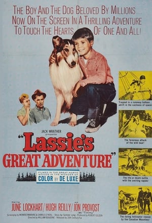 Image Lassie's Great Adventure