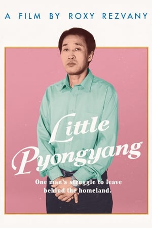 Poster Little Pyongyang 2018