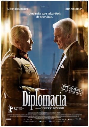 Poster Diplomacia 2014