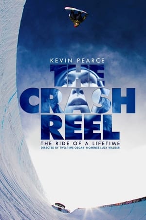 Poster The Crash Reel 2013
