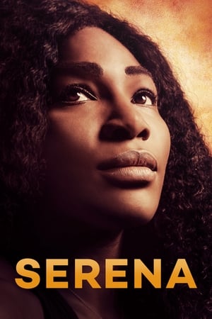 Poster Serena 2016