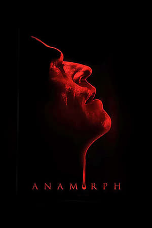 Poster Anamorph 2007