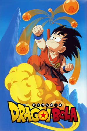 Poster Dragon Ball Temporada 1 Una decisión inesperada 1987