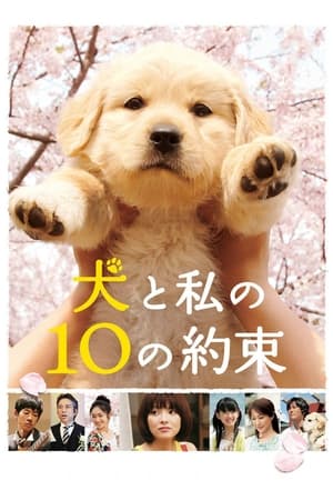 Poster 犬と私の10の約束 2008