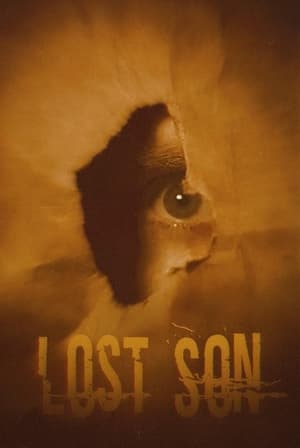 Poster Lost Son 2021