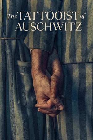 Image The Tattooist of Auschwitz