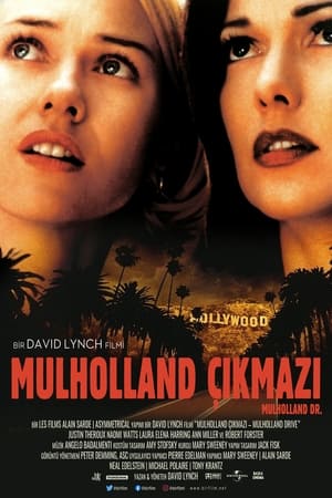 Poster Mulholland Çıkmazı 2001