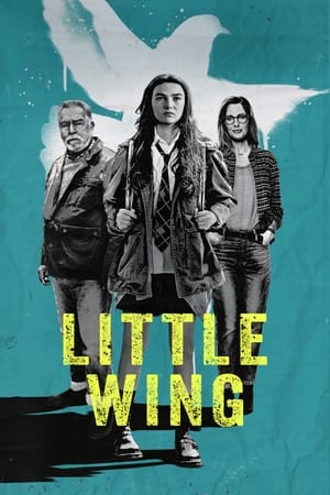 Poster Little Wing 2024