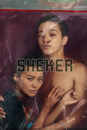 Poster Sheker 2020