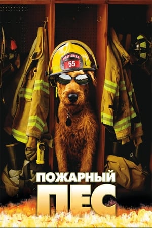 Poster Пожарный пёс 2007