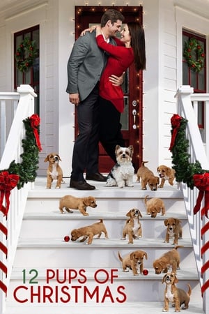 Poster 12 Pups of Christmas 2019