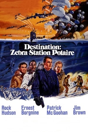 Poster Destination : Zebra, station polaire 1968