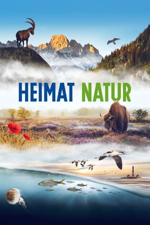 Poster Homeland Nature 2021