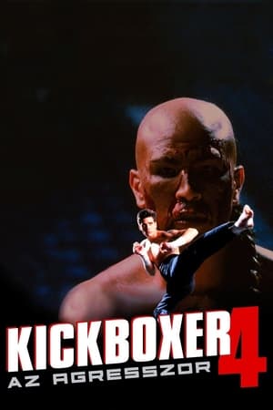 Poster Kickboxer 4: The Aggressor 1994