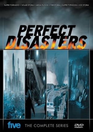 Poster Perfect Disaster 2006