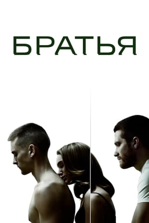 Poster Братья 2009
