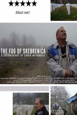 Poster The Fog of Srebrenica 2016