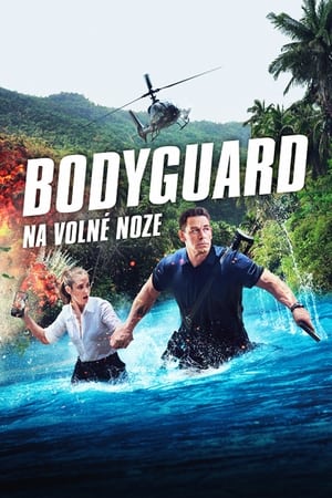 Poster Bodyguard na volné noze 2023