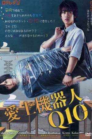 Poster Q10 2010