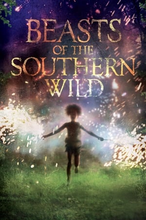 Poster Beasts of the Southern Wild 2012