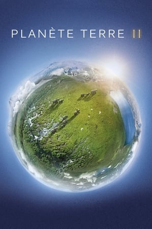Poster Planète Terre II Saison 1 Villes 2016