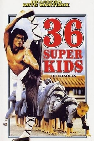 Image 36 super kids de Shaolin