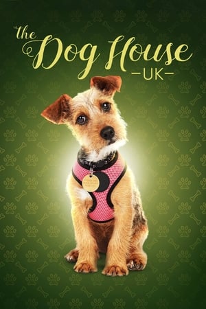 Poster The Dog House 2019
