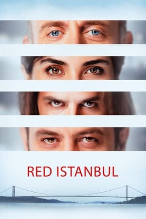 Image Istanbul rực đỏ