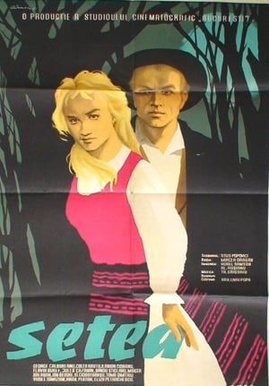 Poster Setea 1960