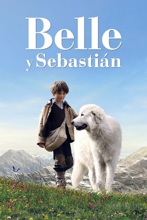 Poster Belle y Sebastián 2013