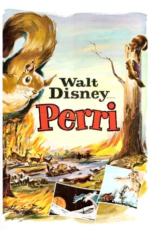 Poster La historia de Perri 1957