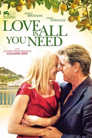 Poster Love is all you need 2012