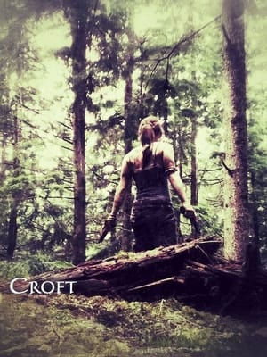 Poster Croft 2013
