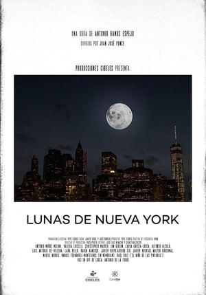 Poster Lunas de Nueva York 2015