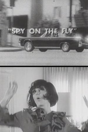 Image Spy on the Fly