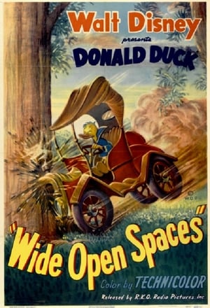 Poster Wide Open Spaces 1947