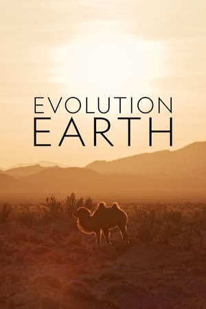 Image A Föld evolúciója