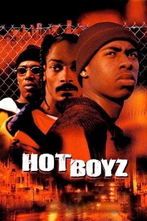 Poster Hot boyz - A banda 2000