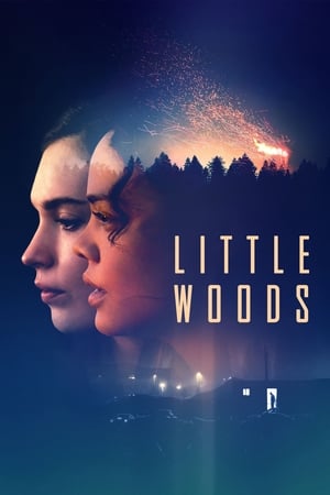Poster Little Woods 2019
