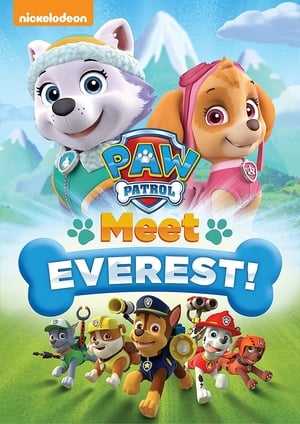 Poster Paw Patrol: Meet Everest 2016