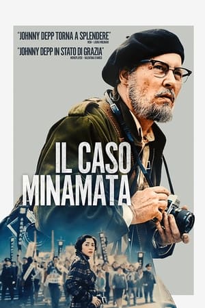 Poster Il caso Minamata 2020