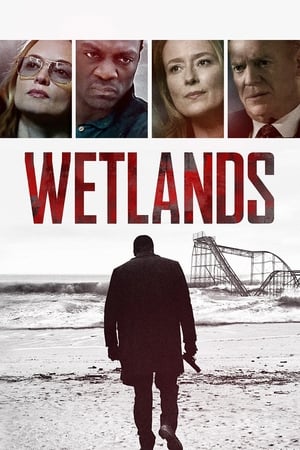 Poster Wetlands 2017