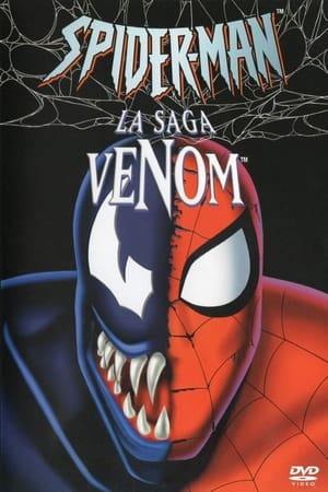 Poster Spider-Man, l'Homme-Araignée Saison 1 1994