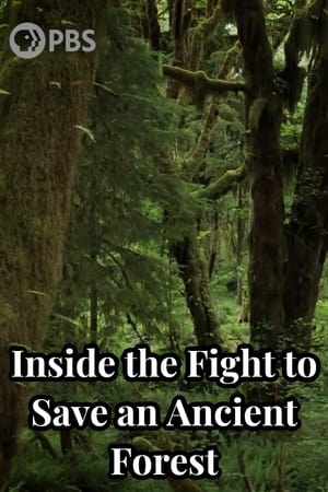 Poster Inside the Fight to Save an Ancient Forest (and the Secrets it Holds) 2021
