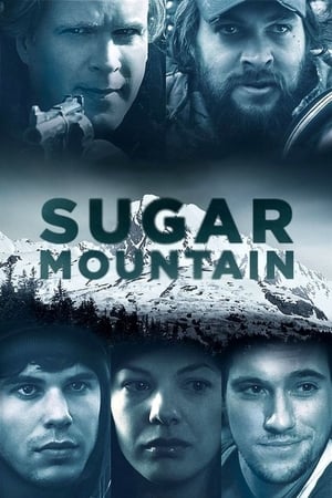 Poster Sugar Mountain 2016