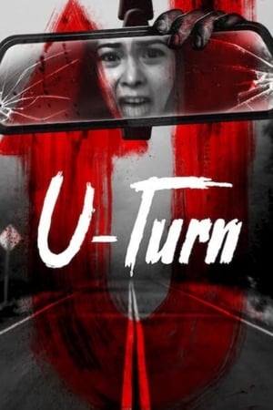 Image U-Turn