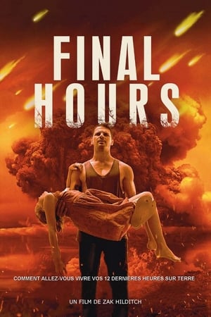 Poster Final Hours 2014