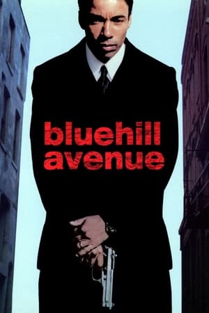 Poster Blue Hill Avenue 2001