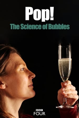Poster Pop! The Science of Bubbles 2013